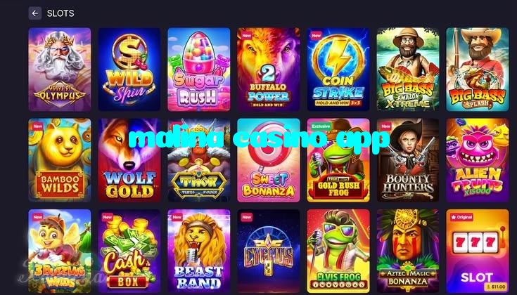 available types of malina casino app bet including pre-match live express and system bets